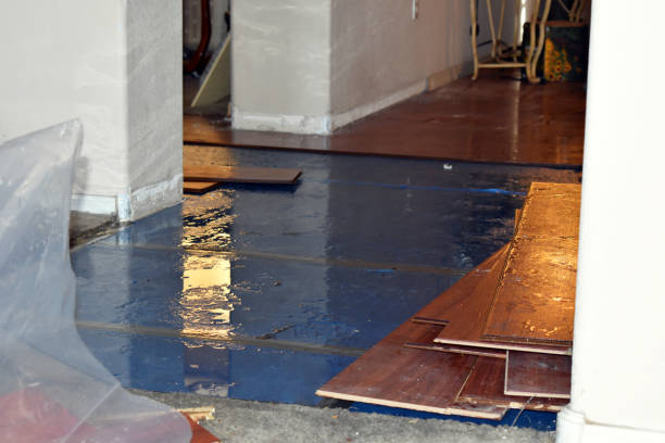 Professional Sewage Cleanup technician working in Almont, MI