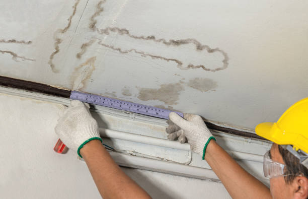Reliable Sewage Cleanup contractor in Almont, MI by Water Damage Irwin